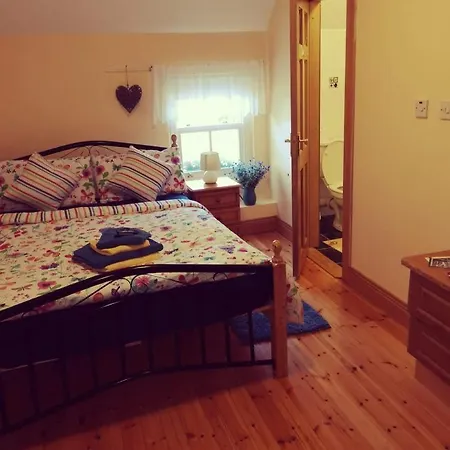 Nellys Bed&bikes Affittacamere