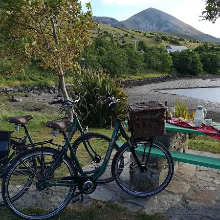 Nellys Bed And Bikes Pensjonat *